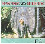 The Waterboys : Medicine Bow